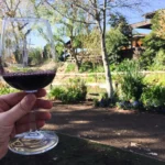 How to Get the Most Out of Your temecula Hotel and Wine Tour Package