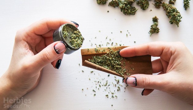 A Beginner's Guide to Blunts