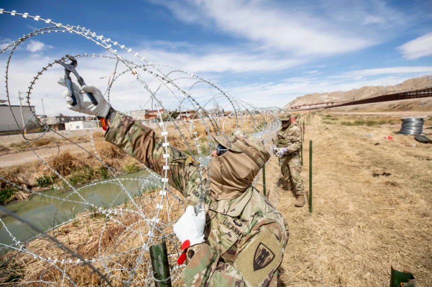 Everything You Need to Know About Concertina Wire