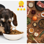Where Can You Find Quality badlands ranch dog food?