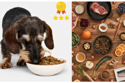 Where Can You Find Quality badlands ranch dog food?