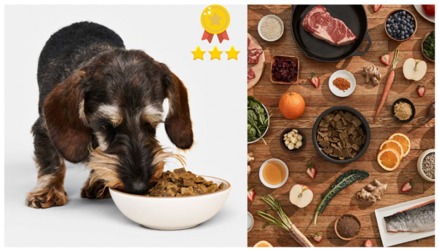 Where Can You Find Quality badlands ranch dog food?