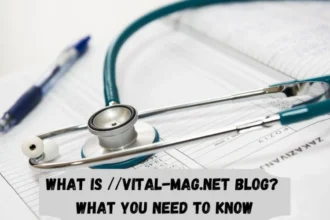 Why Should You Read the Vital-Mag.net Blog?