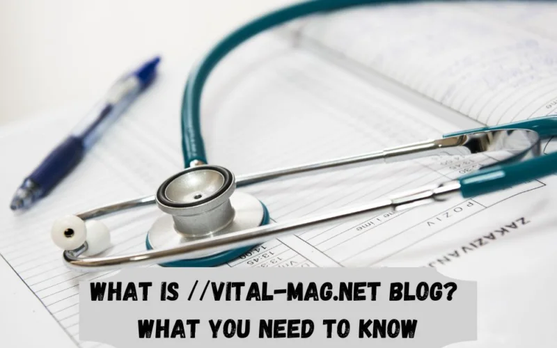 Why Should You Read the Vital-Mag.net Blog?