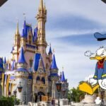 10 Steps to Get Rid of disney world headaches