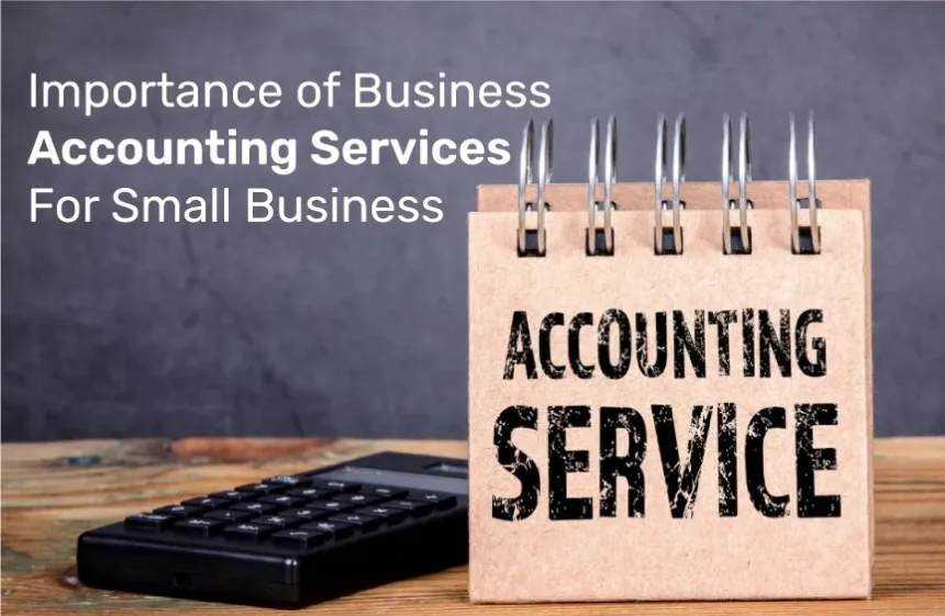 The Importance Of Business Accounts For Growing Business